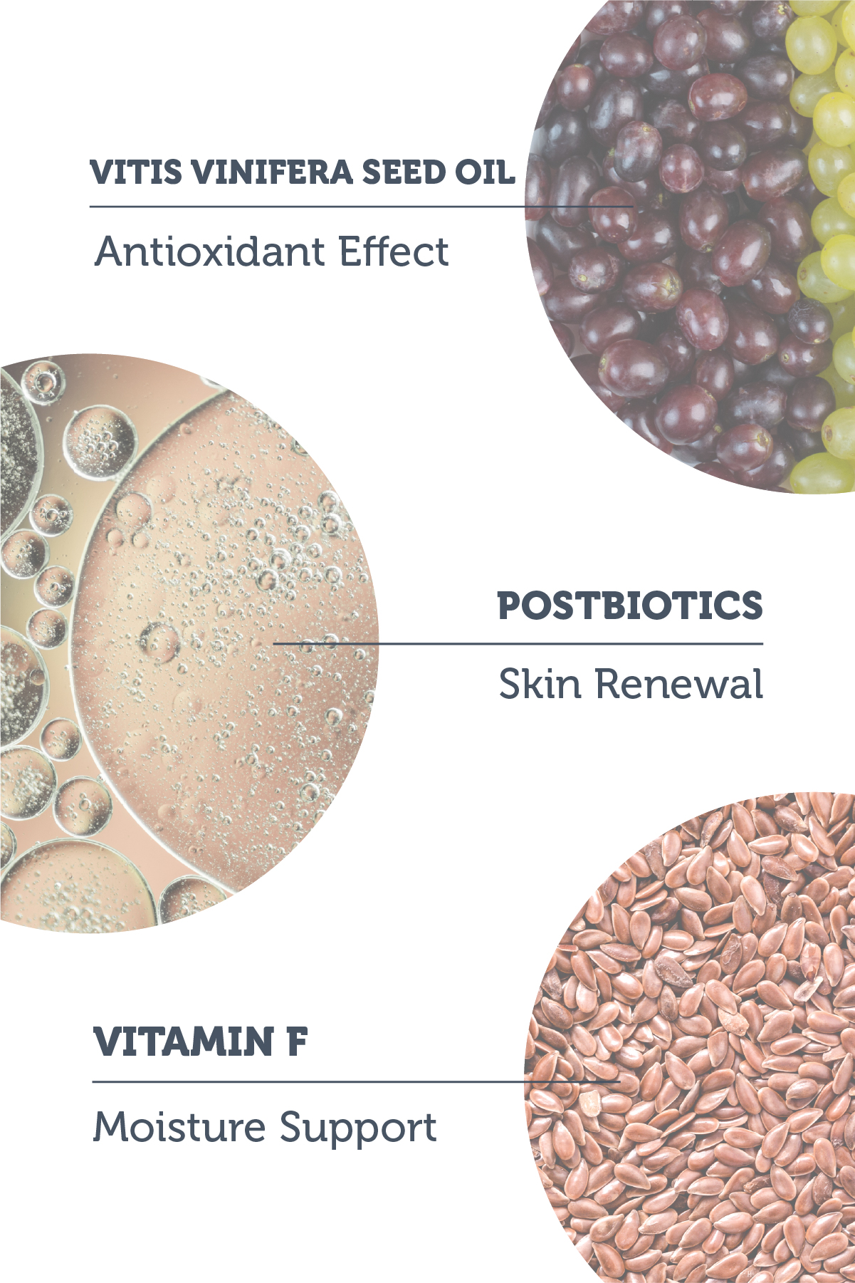 The Purest Solutions Purifying Oil Cleanser With Postbiotics - Image 4